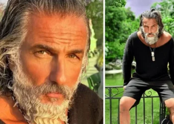 Ilan Tobianah Wikipedia: Ein umfassender Überblick über sein Leben und Wirken