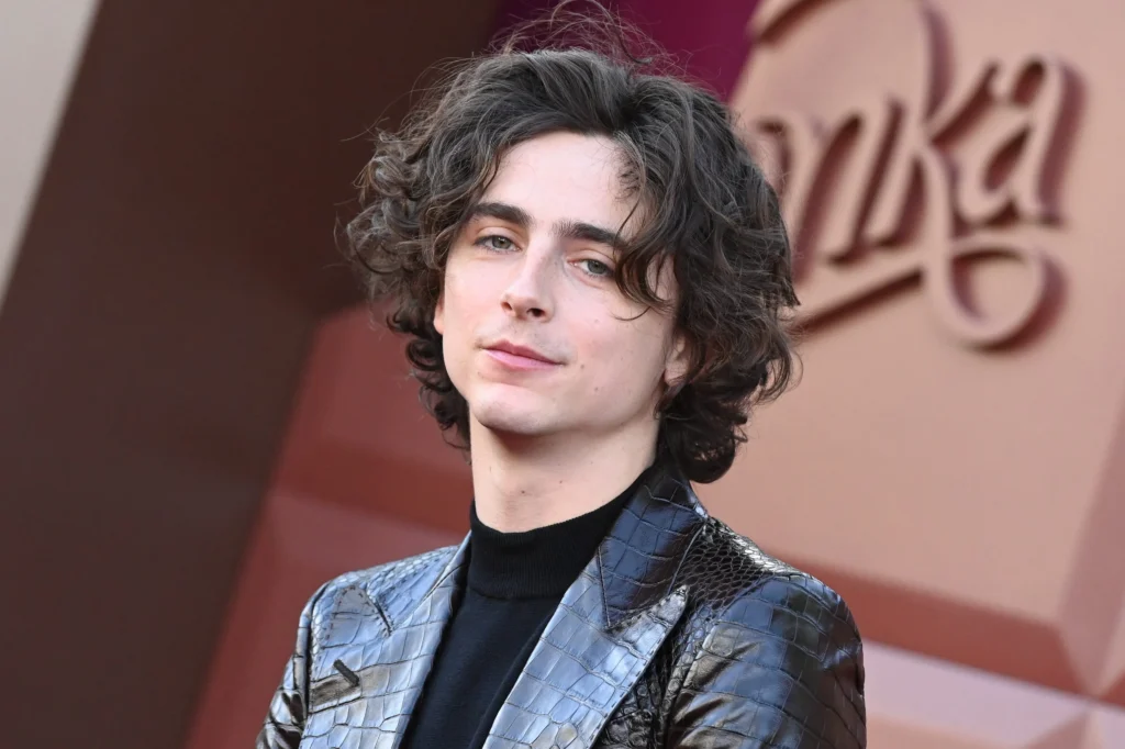 Filme von Timothée Chalamet